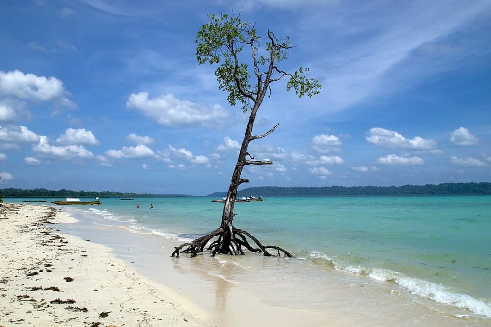 Andaman Best Seller Package